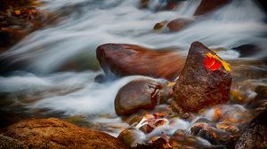 Превью обои камни, листья, вода, поток, скалы