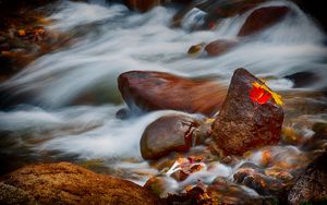 Превью обои камни, листья, вода, поток, скалы