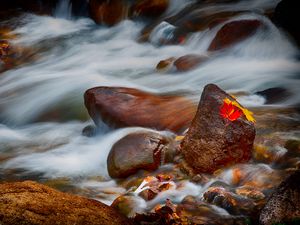 Превью обои камни, листья, вода, поток, скалы