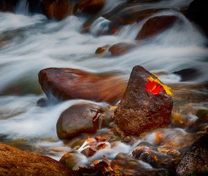 Превью обои камни, листья, вода, поток, скалы