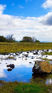 Превью обои камни, лужа, зелень, трава