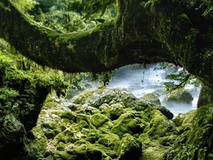 Превью обои камни, мох, дерево, скалы