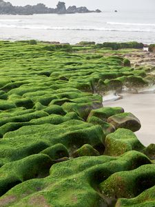 Превью обои камни, мох, пляж, вода, море