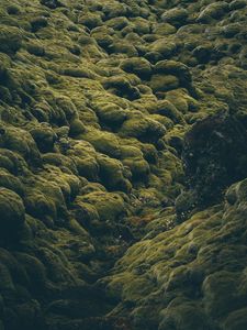 Превью обои камни, мох, покрытый, исландия, бледный, зеленый