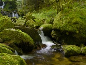 Превью обои камни, мох, зелень, водопад, река, природа