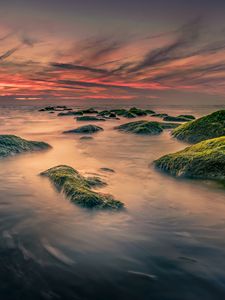 Превью обои камни, море, мох