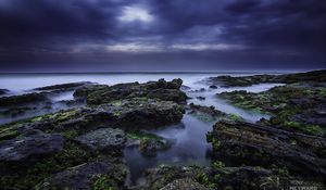 Превью обои камни, море, туман, мох