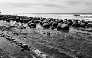 Превью обои камни, море, вода, пляж, горизонт, чб