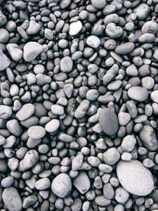 Превью обои камни, морские, поверхность, чб