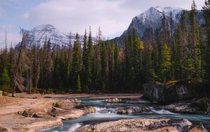 Превью обои камни, поток, деревья, горы