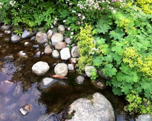 Превью обои камни, растения, вода, природа