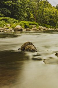 Превью обои камни, река, берег, деревья, длинная выдержка