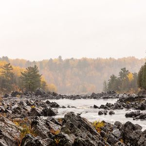 Превью обои камни, река, лес, деревья, осень, пейзаж