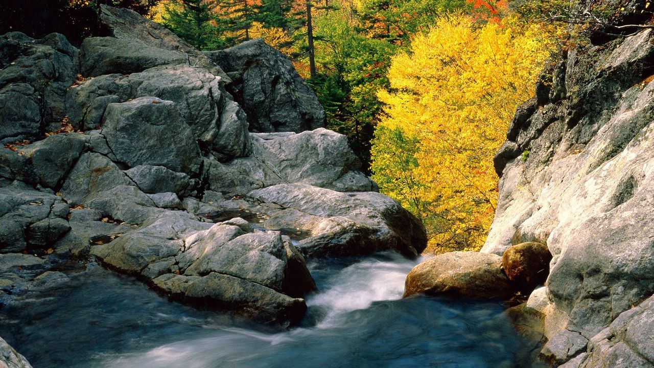 Обои камни, река, осень, течение