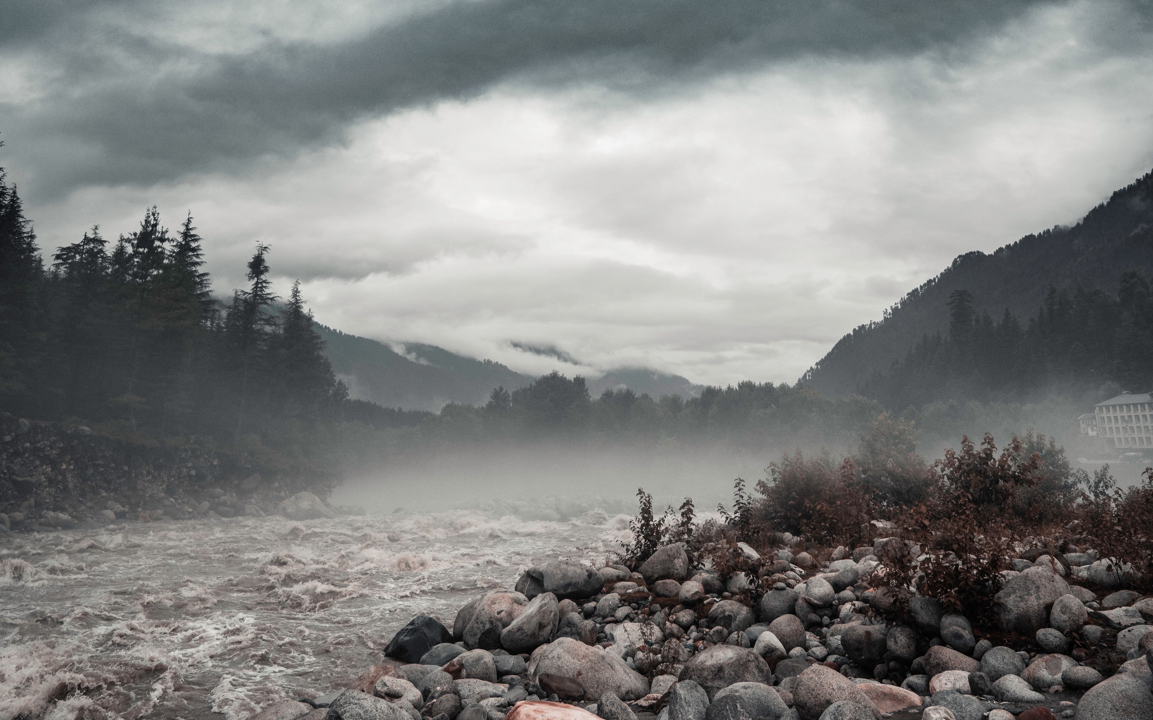 Река лес горы туман
