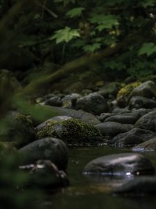 Превью обои камни, ручей, мох, листья, природа