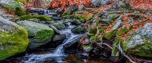 Превью обои камни, ручей, вода, природа, пейзаж