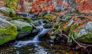 Превью обои камни, ручей, вода, природа, пейзаж