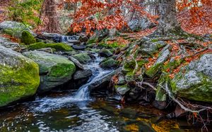 Превью обои камни, ручей, вода, природа, пейзаж