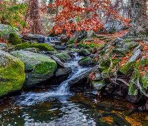 Превью обои камни, ручей, вода, природа, пейзаж