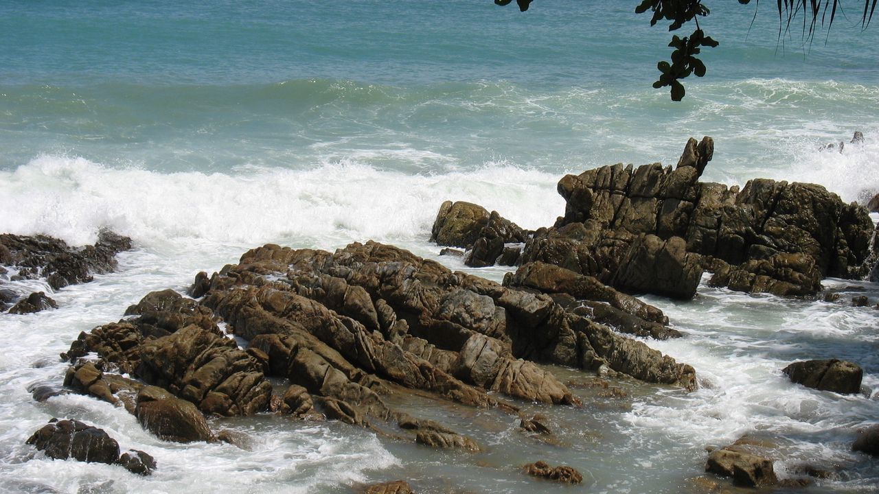 Обои камни, скалы, берег, море, волны, изрезанные, ветви