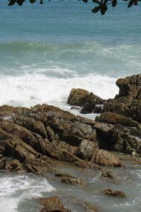 Превью обои камни, скалы, берег, море, волны, изрезанные, ветви