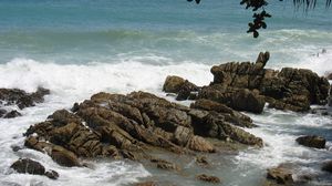 Превью обои камни, скалы, берег, море, волны, изрезанные, ветви