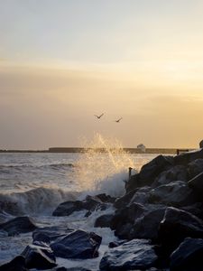 Превью обои камни, скалы, море, брызги, птицы