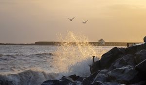 Превью обои камни, скалы, море, брызги, птицы