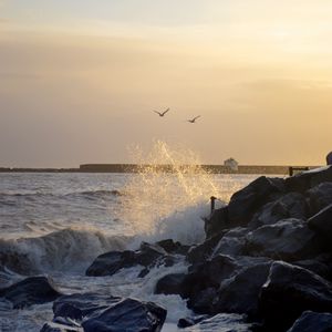 Превью обои камни, скалы, море, брызги, птицы