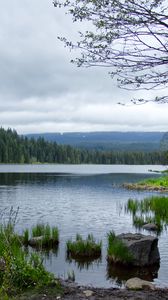 Превью обои камни, трава, река, лес, горы, облака