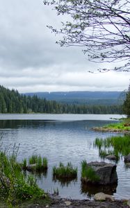 Превью обои камни, трава, река, лес, горы, облака