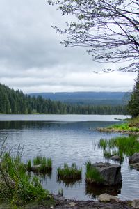 Превью обои камни, трава, река, лес, горы, облака