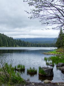 Превью обои камни, трава, река, лес, горы, облака