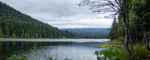 Превью обои камни, трава, река, лес, горы, облака