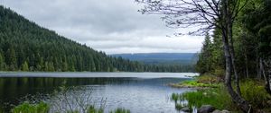 Превью обои камни, трава, река, лес, горы, облака