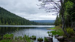 Превью обои камни, трава, река, лес, горы, облака