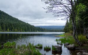 Превью обои камни, трава, река, лес, горы, облака