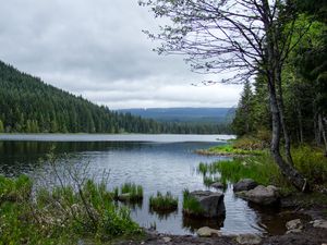 Превью обои камни, трава, река, лес, горы, облака