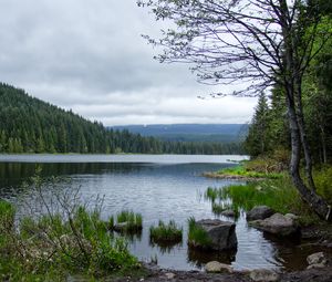 Превью обои камни, трава, река, лес, горы, облака