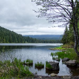 Превью обои камни, трава, река, лес, горы, облака