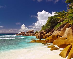 Превью обои камни, валуны, берег, пляж, голубая вода, пальмы, тропики