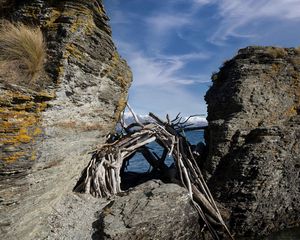 Превью обои камни, ветки, бревна, море