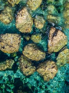 Превью обои камни, вода, дно, море, вид сверху