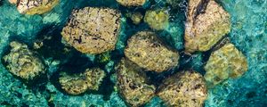 Превью обои камни, вода, дно, море, вид сверху