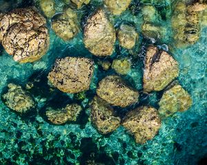 Превью обои камни, вода, дно, море, вид сверху