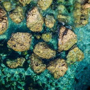 Превью обои камни, вода, дно, море, вид сверху