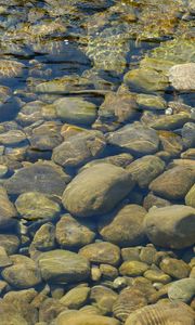 Превью обои камни, вода, прозрачный, водоем, дно