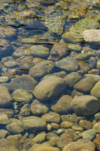 Превью обои камни, вода, прозрачный, водоем, дно