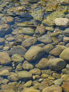 Превью обои камни, вода, прозрачный, водоем, дно